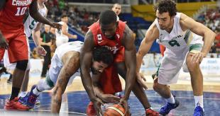 Brasil, campe�n panamericano