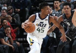 Se le escap� la tortuga