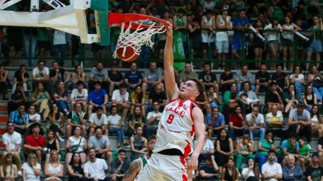 La selecci�n: Elegidos, ausencias, plantel y variantes