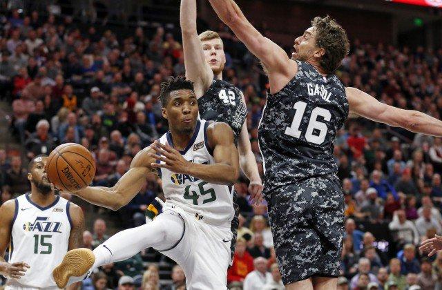 Se le escap� la tortuga