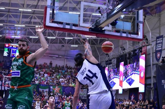 La tortuga de las Am�ricas