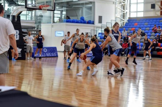 Bah�a, el Dow Center y Oveja