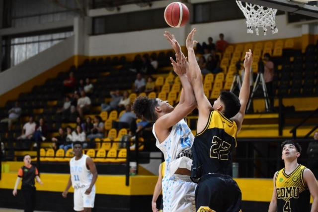 Ober� celebra en U13