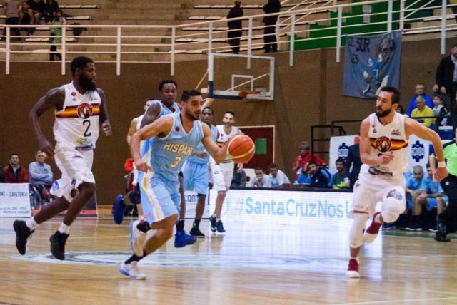 Chamam� patag�nico