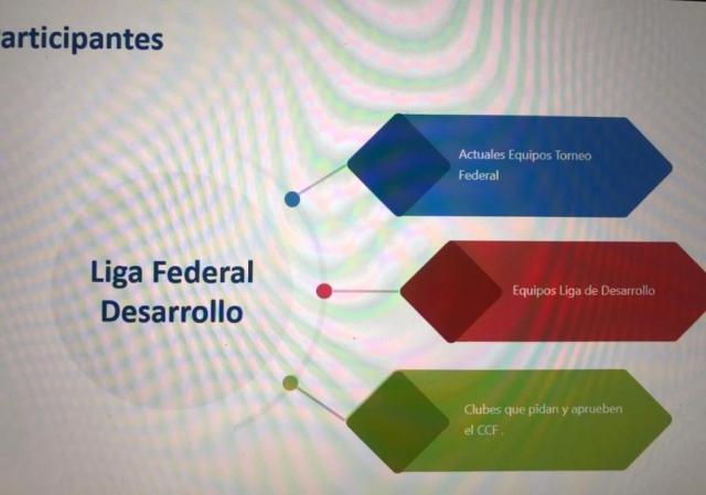 �Liga Federal de Desarrollo?