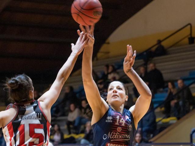 Siguen sum�ndose a la legi�n