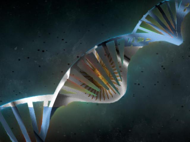 ADN celeste y blanco: Madres e hijas que jugaron en la Selecci�n