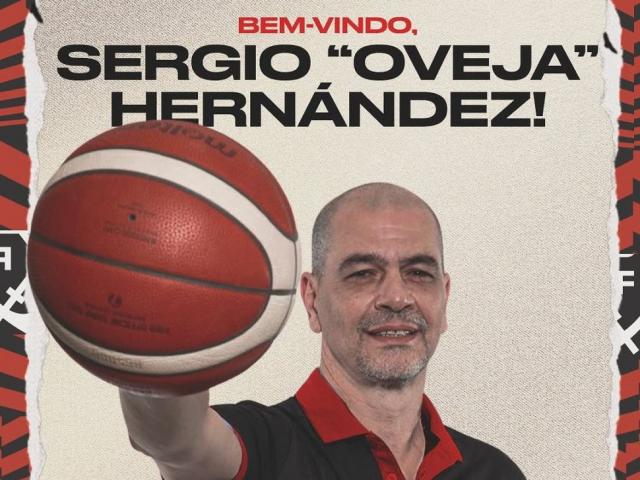 �Vuelve a dirigir Oveja!