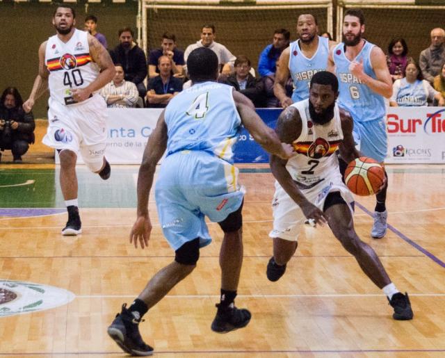 Chamam� patag�nico