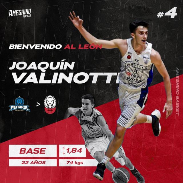 El le�n con muchas novedades