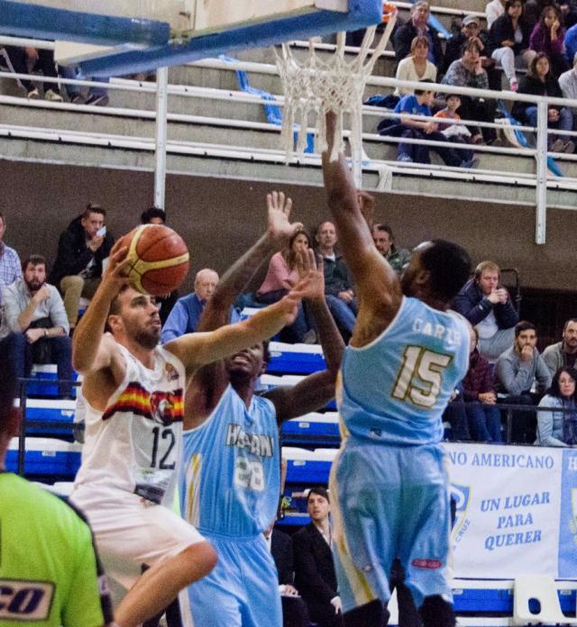 Chamam� patag�nico